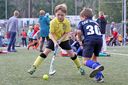 Dateiname=kruse_borzelturnier2015_316.jpg
Dateigröße=301KB
Abmessungen: 1500x1000
hinzugefügt am: 22. September 2015 kruse_borzelturnier2015_316.jpg