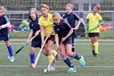 Dateiname=kruse_borzelturnier2015_378.jpg
Dateigröße=300KB
Abmessungen: 1500x1000
hinzugefügt am: 23. September 2015 kruse_borzelturnier2015_378.jpg